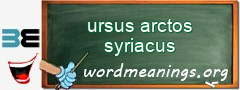 WordMeaning blackboard for ursus arctos syriacus
